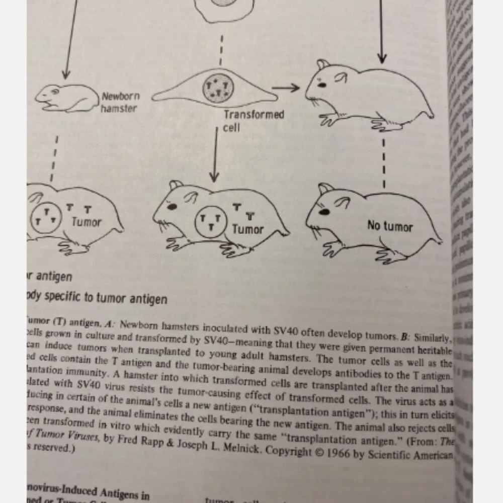 Review Of Medical Microbiology Edition 10 Ernest Jawetz